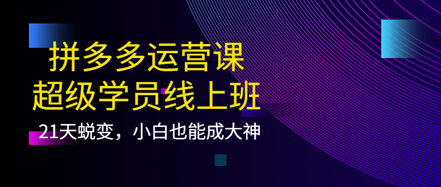 拼多多运营课：超级学员线上班，21天蜕变，小白也能成大神网创吧-网创项目资源站-副业项目-创业项目-搞钱项目网创吧