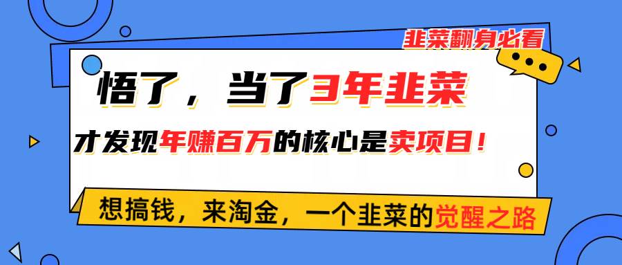 悟了，当了3年韭菜，才发现网赚圈年赚100万的核心是卖项目，含泪分享！网创吧-网创项目资源站-副业项目-创业项目-搞钱项目网创吧