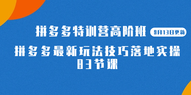 2023拼多多·特训营高阶班【9月13日更新】拼多多最新玩法技巧落地实操-83节网创吧-网创项目资源站-副业项目-创业项目-搞钱项目网创吧