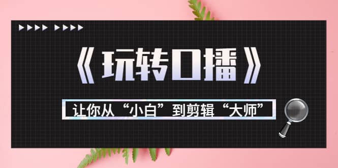 月营业额700万+大佬教您《玩转口播》让你从“小白”到剪辑“大师”网创吧-网创项目资源站-副业项目-创业项目-搞钱项目网创吧