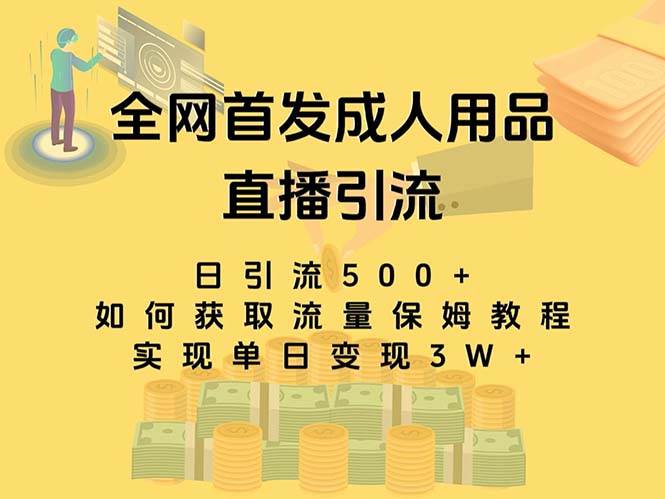 最新全网独创首发，成人用品直播引流获客暴力玩法，单日变现3w保姆级教程网创吧-网创项目资源站-副业项目-创业项目-搞钱项目网创吧