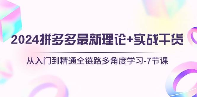 2024拼多多 最新理论+实战干货，从入门到精通全链路多角度学习-7节课网创吧-网创项目资源站-副业项目-创业项目-搞钱项目网创吧