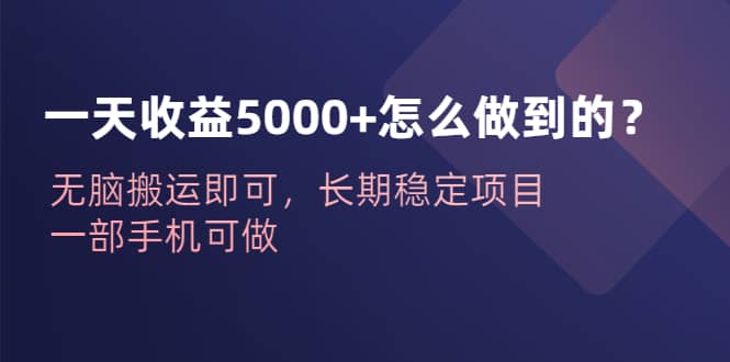 一天收益5000+怎么做到的？无脑搬运即可，长期稳定项目，一部手机可做网创吧-网创项目资源站-副业项目-创业项目-搞钱项目网创吧