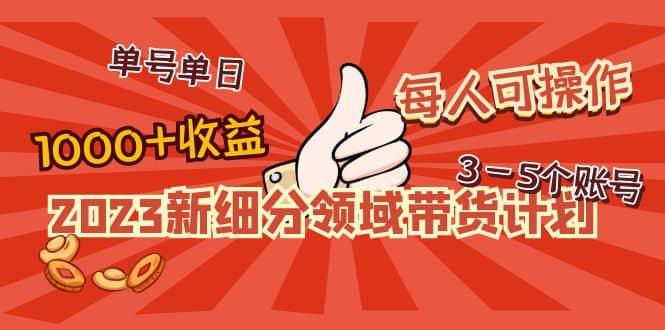 2023新细分领域带货计划：单号单日1000+收益不难，每人可操作3-5个账号网创吧-网创项目资源站-副业项目-创业项目-搞钱项目网创吧