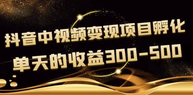 黄岛主《抖音中视频变现项目孵化》单天的收益300-500 操作简单粗暴网创吧-网创项目资源站-副业项目-创业项目-搞钱项目网创吧