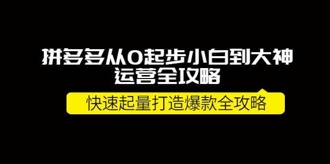 拼多多从0起步小白到大神运营全攻略网创吧-网创项目资源站-副业项目-创业项目-搞钱项目网创吧