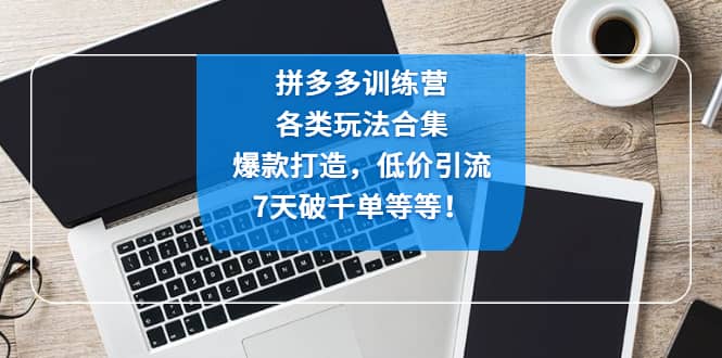 拼多多训练营：各玩法合集，爆款打造，低价引流，7天破千单等等网创吧-网创项目资源站-副业项目-创业项目-搞钱项目网创吧