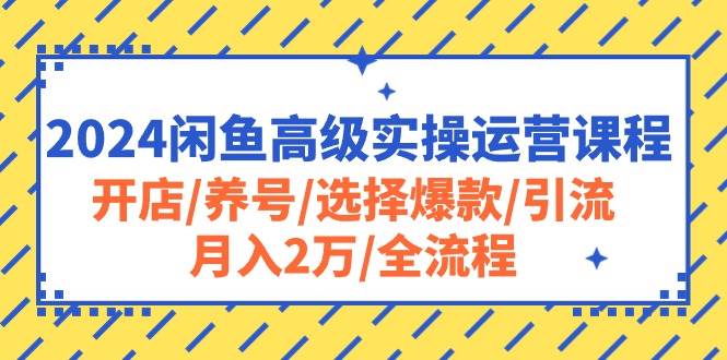 2024闲鱼高级实操运营课程：开店/养号/选择爆款/引流/月入2万/全流程网创吧-网创项目资源站-副业项目-创业项目-搞钱项目网创吧