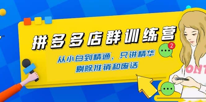 拼多多店群训练营：从小白到精通，只讲精华，剔除推销和废话网创吧-网创项目资源站-副业项目-创业项目-搞钱项目网创吧