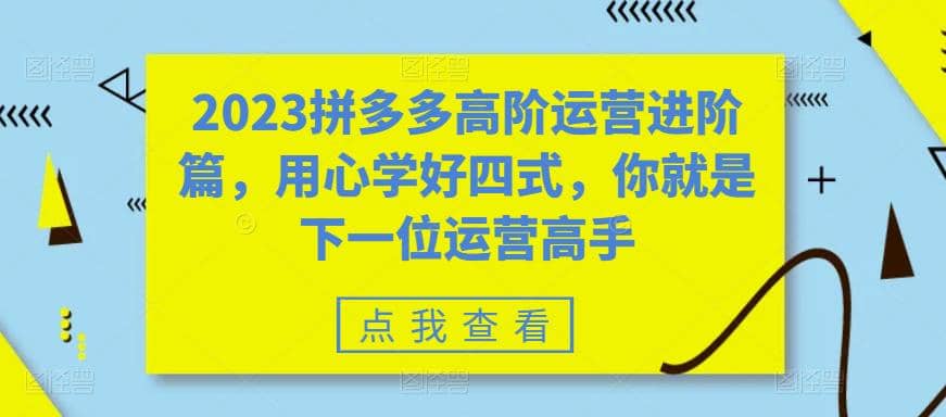 2023拼多多高阶运营进阶篇，用心学好四式，你就是下一位运营高手网创吧-网创项目资源站-副业项目-创业项目-搞钱项目网创吧