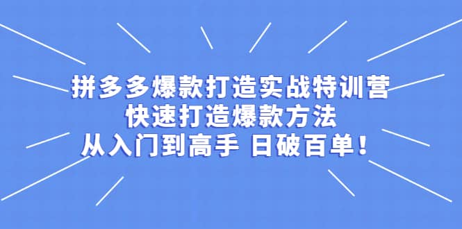 拼多多爆款打造实战特训营：快速打造爆款方法，从入门到高手 日破百单网创吧-网创项目资源站-副业项目-创业项目-搞钱项目网创吧