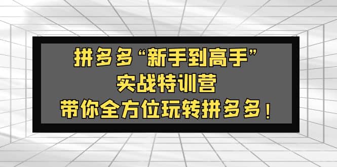 拼多多“新手到高手”实战特训营：带你全方位玩转拼多多网创吧-网创项目资源站-副业项目-创业项目-搞钱项目网创吧