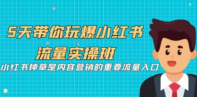 5天带你玩爆小红书流量实操班，小红书种草是内容营销的重要流量入口网创吧-网创项目资源站-副业项目-创业项目-搞钱项目网创吧