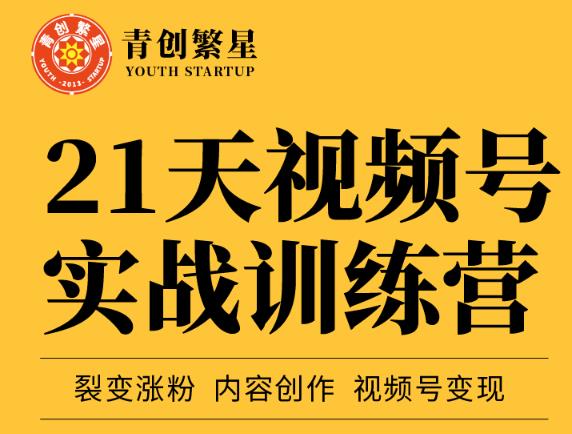 张萌21天视频号实战训练营，裂变涨粉、内容创作、视频号变现 价值298元网创吧-网创项目资源站-副业项目-创业项目-搞钱项目网创吧