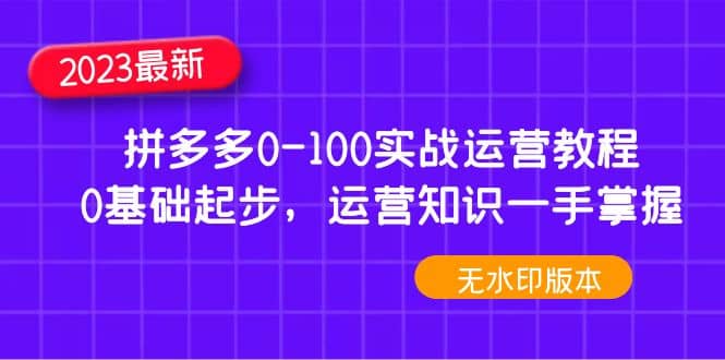 2023拼多多0-100实战运营教程，0基础起步，运营知识一手掌握（无水印）网创吧-网创项目资源站-副业项目-创业项目-搞钱项目网创吧