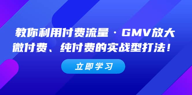 教你利用付费流量·GMV放大，微付费、纯付费的实战型打法网创吧-网创项目资源站-副业项目-创业项目-搞钱项目网创吧