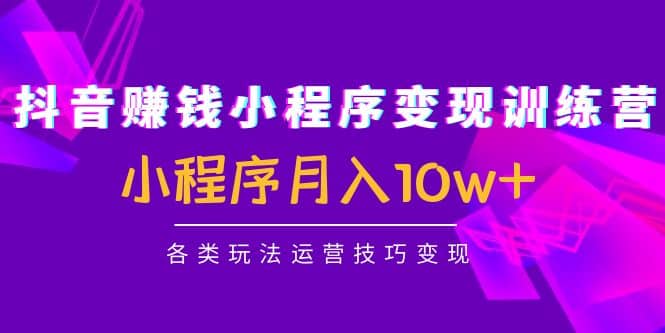 抖音小程序变现训练营：小程序各类玩法运营技巧变现网创吧-网创项目资源站-副业项目-创业项目-搞钱项目网创吧