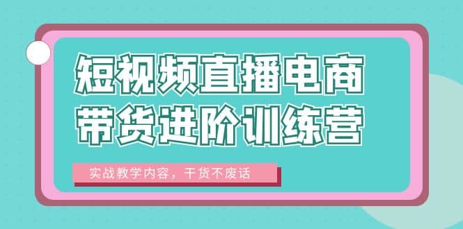 短视频直播电商带货进阶训练营：实战教学内容，干货不废话网创吧-网创项目资源站-副业项目-创业项目-搞钱项目网创吧