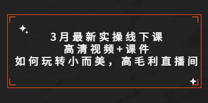 3月最新实操线下课高清视频+课件，如何玩转小而美，高毛利直播间网创吧-网创项目资源站-副业项目-创业项目-搞钱项目网创吧