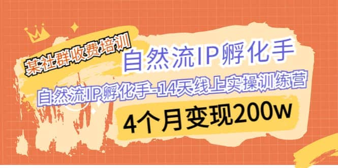 某社群收费培训：自然流IP 孵化手-14天线上实操训练营 4个月变现200w网创吧-网创项目资源站-副业项目-创业项目-搞钱项目网创吧