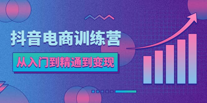 抖音电商训练营：从入门到精通，从账号定位到流量变现，抖店运营实操网创吧-网创项目资源站-副业项目-创业项目-搞钱项目网创吧