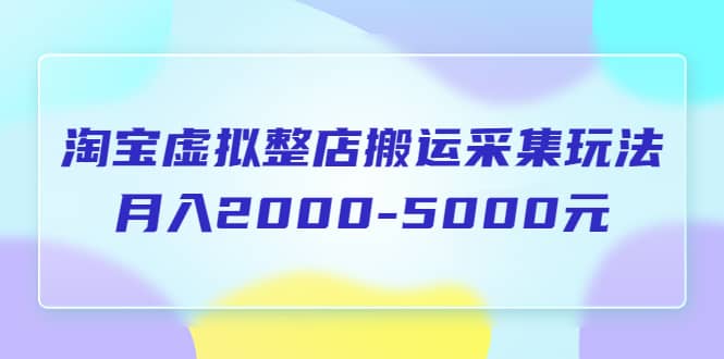 淘宝虚拟整店搬运采集玩法分享课：月入2000-5000元（5节课）网创吧-网创项目资源站-副业项目-创业项目-搞钱项目网创吧