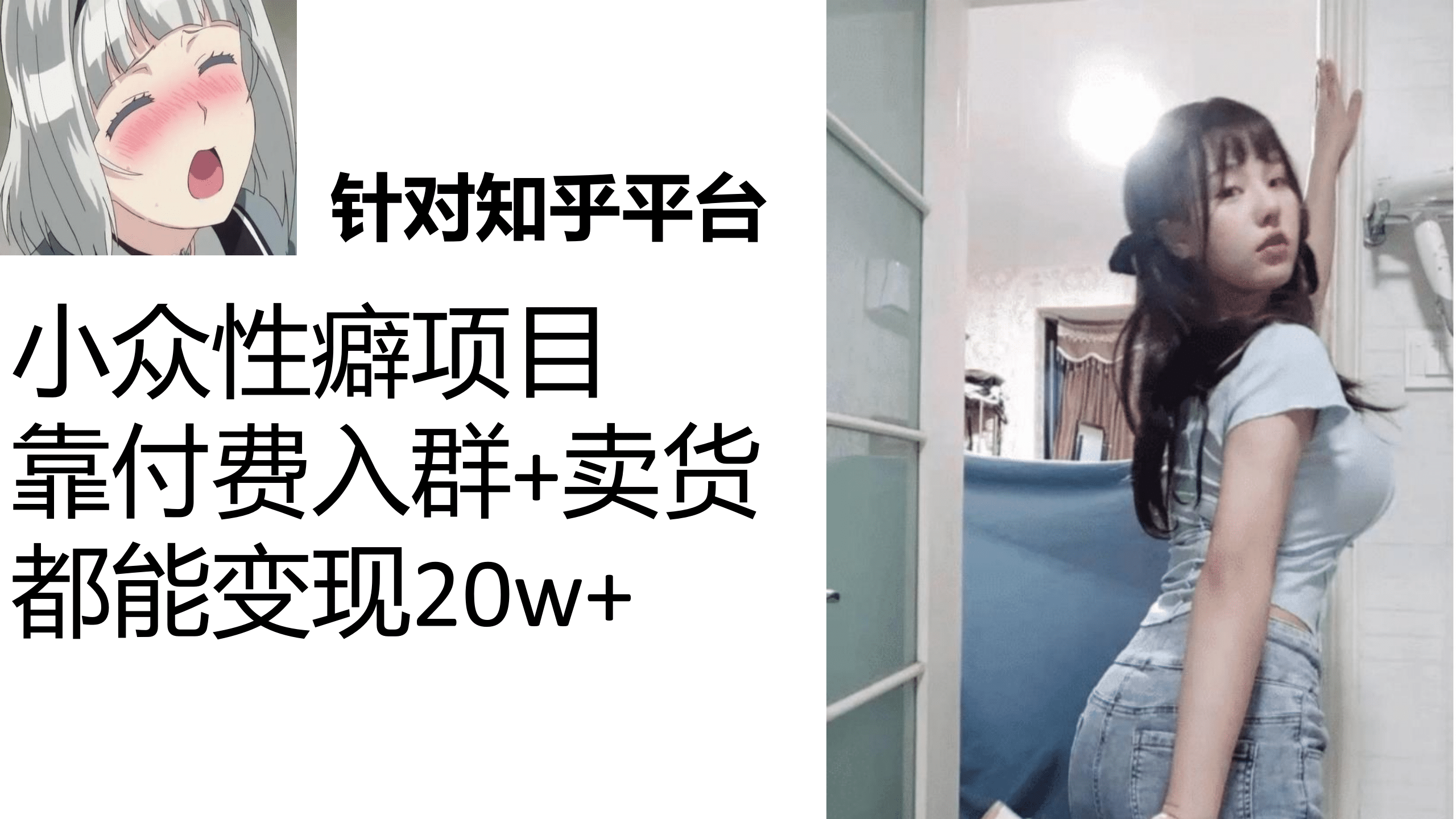 知乎小众性癖项目，Lsp的钱才是最好赚的，付费建群+卖货变现20w网创吧-网创项目资源站-副业项目-创业项目-搞钱项目网创吧