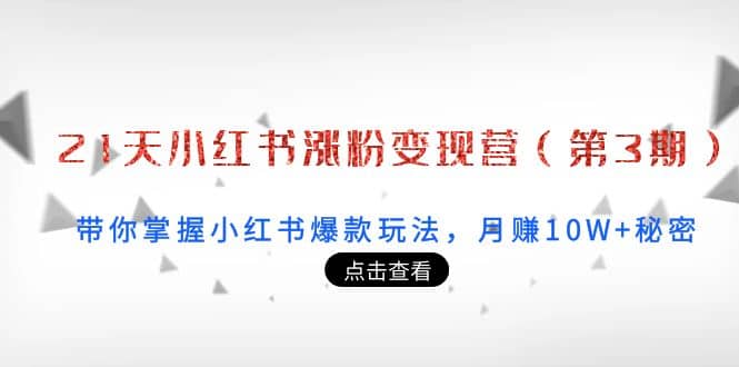 21天小红书涨粉变现营（第3期）：带你掌握小红书爆款玩法，月赚10W+秘密网创吧-网创项目资源站-副业项目-创业项目-搞钱项目网创吧