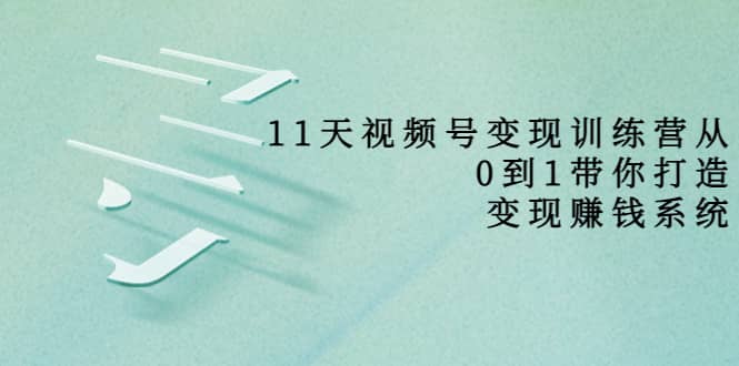 好望角·11天视频号变现训练营，从0到1打造变现赚钱系统（价值398）网创吧-网创项目资源站-副业项目-创业项目-搞钱项目网创吧