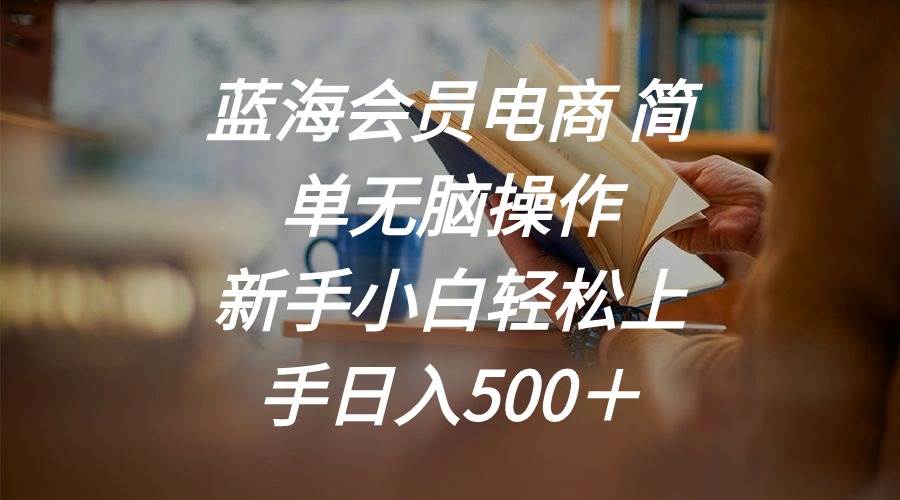 蓝海会员电商 简单无脑操作 新手小白轻松上手日入500＋网创吧-网创项目资源站-副业项目-创业项目-搞钱项目网创吧