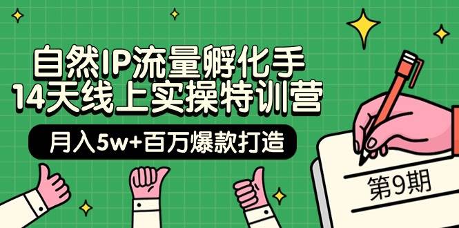 自然IP流量孵化手 14天线上实操特训营【第9期】月入5w+百万爆款打造 (74节)网创吧-网创项目资源站-副业项目-创业项目-搞钱项目网创吧