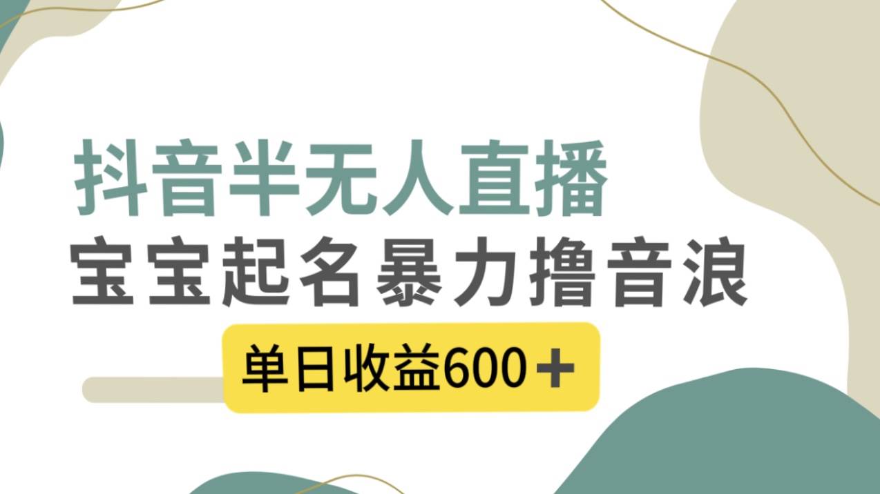 抖音半无人直播，宝宝起名，暴力撸音浪，单日收益600+网创吧-网创项目资源站-副业项目-创业项目-搞钱项目网创吧