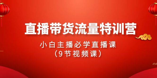 2024直播带货流量特训营，小白主播必学直播课（9节视频课）网创吧-网创项目资源站-副业项目-创业项目-搞钱项目网创吧