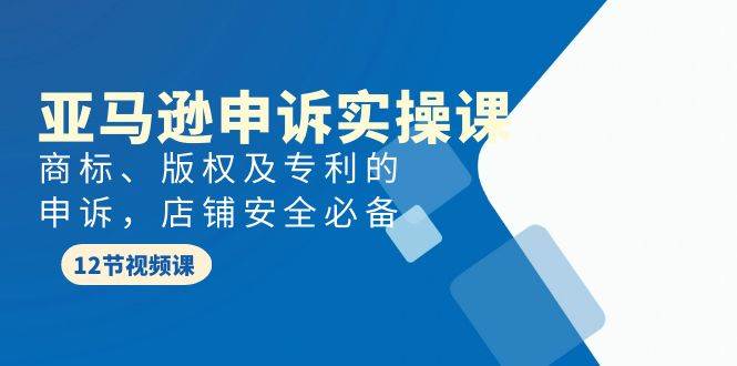 亚马逊-申诉实战课，商标、版权及专利的申诉，店铺安全必备网创吧-网创项目资源站-副业项目-创业项目-搞钱项目网创吧