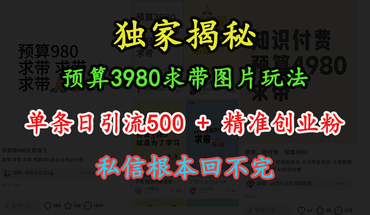 “小红书”预算3980求带 图片玩法，单条日引流500+精准创业粉，私信根本回不完网创吧-网创项目资源站-副业项目-创业项目-搞钱项目网创吧