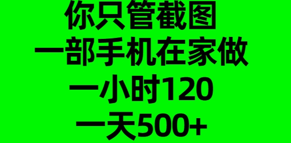 你只管截图，一部手机在家做，一小时120，一天500+网创吧-网创项目资源站-副业项目-创业项目-搞钱项目网创吧