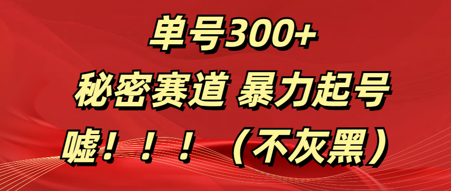 单号300+  秘密赛道 暴力起号  （不灰黑）网创吧-网创项目资源站-副业项目-创业项目-搞钱项目网创吧